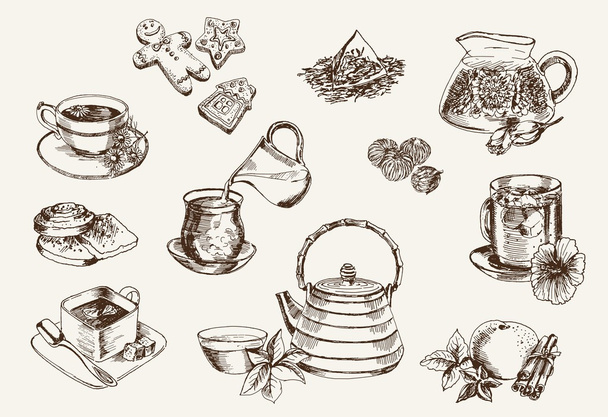 Some types of tea - Διάνυσμα, εικόνα