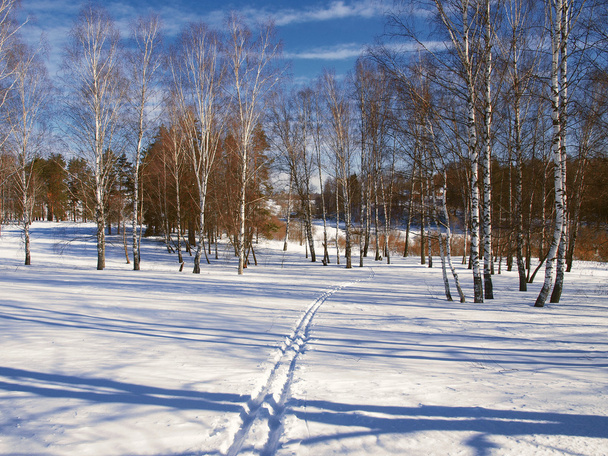 Winter landscape in central Russia - Foto, imagen