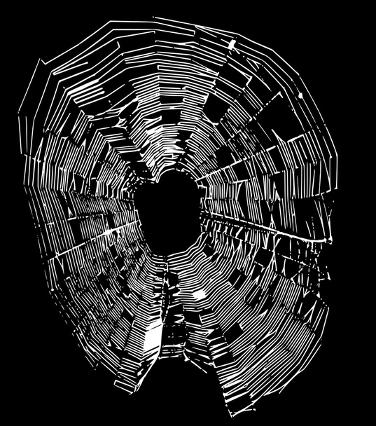 Spinnennetz - Vektor, Bild