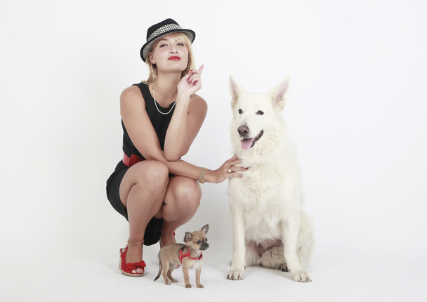 Nő, fehér juh kutya és chihuahua - Fotó, kép