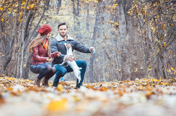 Femme et homme caressant le chien le promenant dans un décor d'automne coloré
 - Photo, image