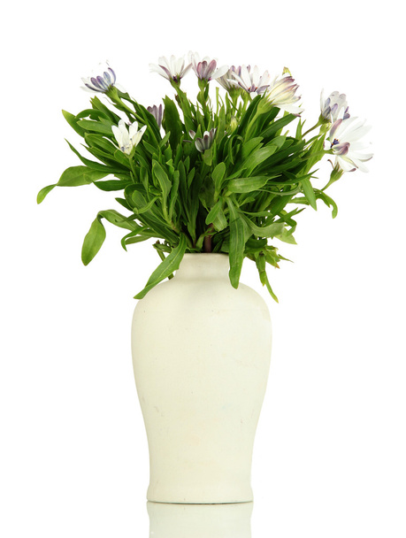 Bouquet of beautiful summer flowers in color vase, isolated on white - Fotó, kép