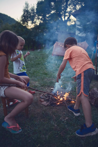 Kids making campfire at evening time. - Photo, Image