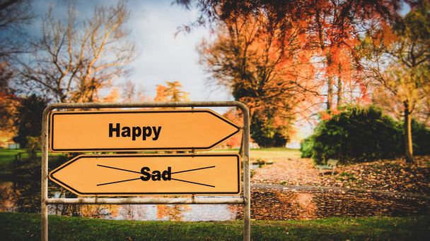 幸せと悲しい街路標識 - 写真・画像