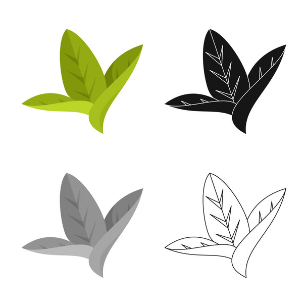Isolated object of leaf and leaves icon. Collection of leaf and botanical stock symbol for web. - Vector, afbeelding