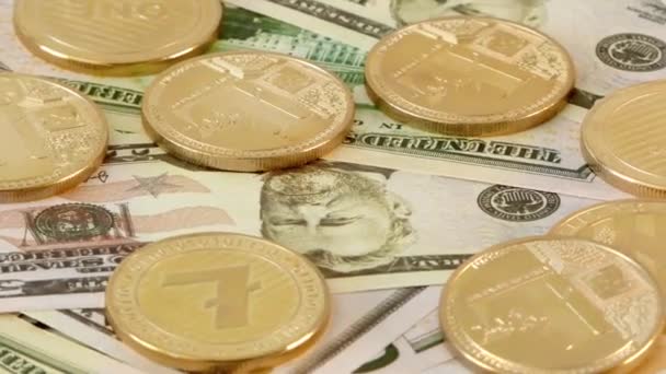 Altın Lightcoin Ltc sikkeler 50 dolar banknotlar üzerinde dönen. Dünya çapında sanal internet kriptopara. - Video, Çekim
