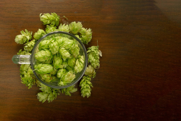 Tazza di vetro di birra riempita con coni di luppolo verde. Concetto di birra p
 - Foto, immagini