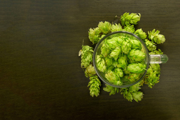 Beer glass mug filled with green hop cones. Concept of brewing p - Photo, Image