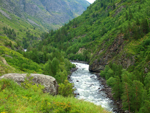 The river Chulcha - Valokuva, kuva