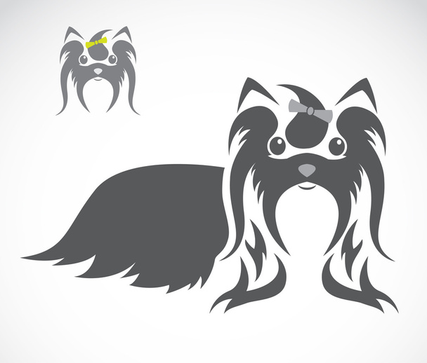 シーズー犬のベクトル画像 - ベクター画像