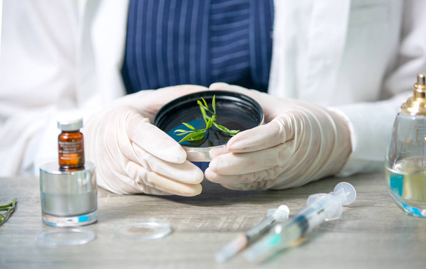 Biokémiai specialista kísérlet természetes szerves botanika és tudományos üvegedények, alternatív gyógynövény gyógyszer, természetes bőrápoló szépségápolási termékek, kutatási és fejlesztési koncepció. - Fotó, kép