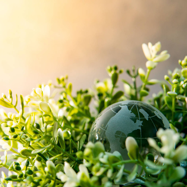 Křišťálová sklenička na zelených listech křovin - Fotografie, Obrázek