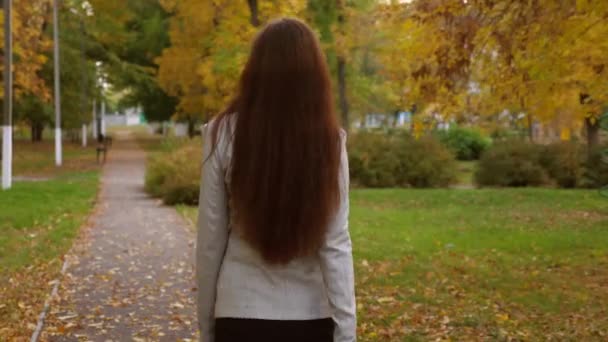 όμορφη γυναίκα με σκούρα μαλλιά σε ένα επιχειρηματικό κοστούμι με ένα μαύρο χαρτοφύλακα στο χέρι περπατάει κατά μήκος του πεζοδρομίου μέσα από το φθινοπωρινό πάρκο - Πλάνα, βίντεο