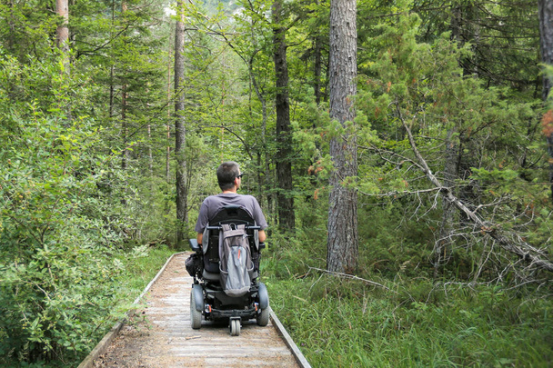 Man on a wheelchair in a forest. - Foto, immagini