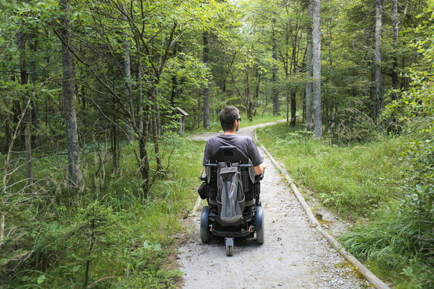 Man on a wheelchair in a forest. - Фото, зображення
