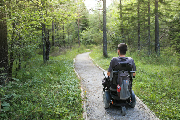 Man on a wheelchair in a forest. - Фото, зображення