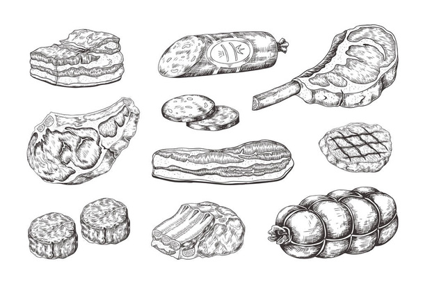 Meat steak. Vintage food sketch with butchery products, pork ham bacon lamb ribs and beefsteak. Vector hand drawn grill menu - Vektori, kuva