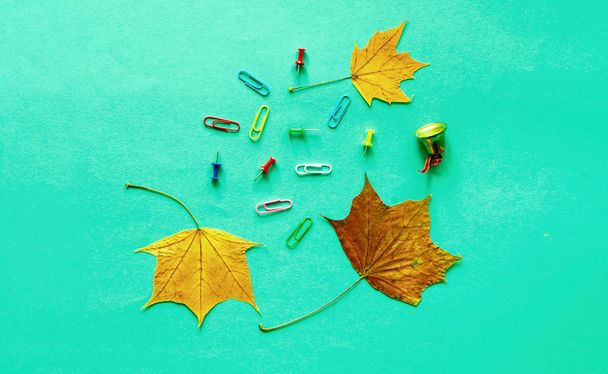 Kantoorbenodigdheden op Mint achtergrond met herfst bladeren. Trendy co - Foto, afbeelding