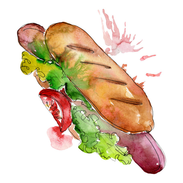 Hot dog fast food isolated. Watercolor background illustration set. Isolated snack illustration element - Zdjęcie, obraz