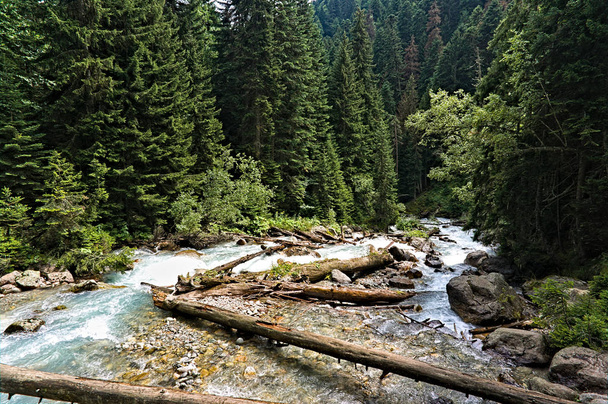 une rivière de montagne rapide avec de l'eau claire se déverse sur les rochers et les rapides, entouré de forêts de conifères verdoyantes Teberda, Dombay, Russie
 - Photo, image