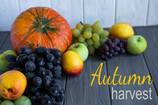 Autumn harvest inscription. Pumpkin, grapes, nectarine, apples. Farm harvest - Фото, зображення