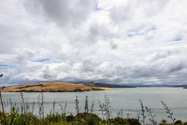 view from viewpoint near Opononi, New Zealand - 写真・画像