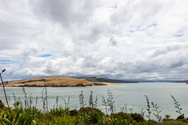 view from viewpoint near Opononi, New Zealand - Foto, imagen