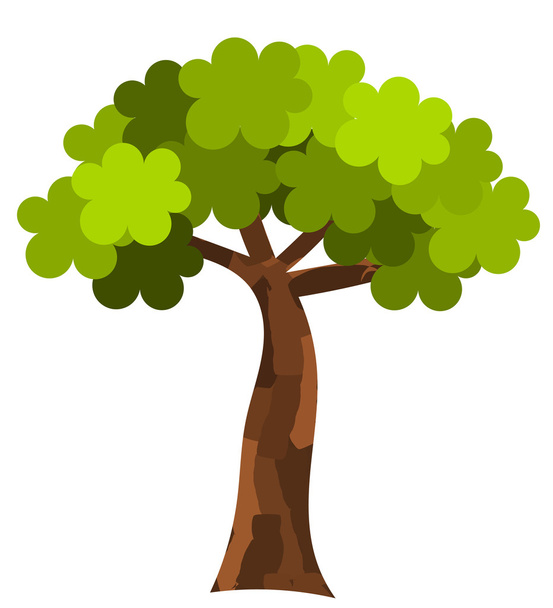Çınar ağacı - Vektör, Görsel