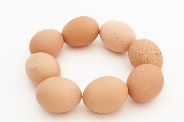 eggs - Фото, изображение
