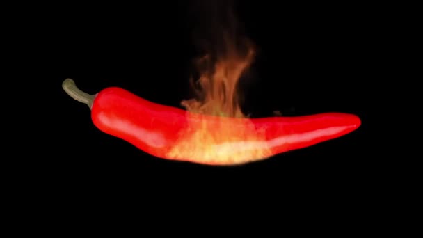 Red hot chili pepper on fire isolated on a black background. Copy space for your text. - Footage, Video