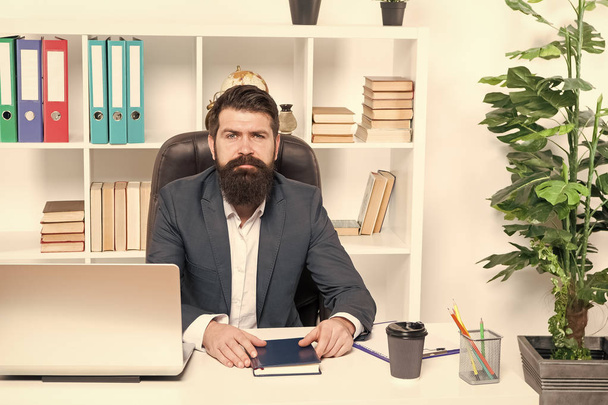 Lawyer agency. Man bearded hipster boss sit in leather armchair office interior. Boss at workplace. Manager formal clothing corporate style working. Business people concept. Busy boss in office - Foto, Bild