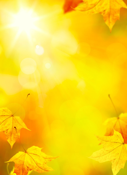 αφηρημένη φθινόπωρο φύλλα κίτρινο φόντο - Φωτογραφία, εικόνα