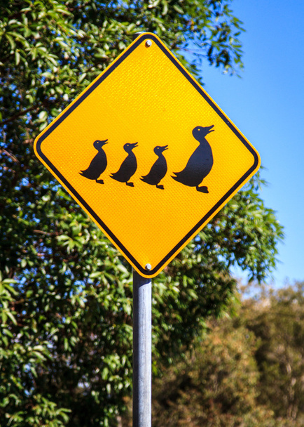 Lindo pato y patito señal de tráfico
 - Foto, Imagen
