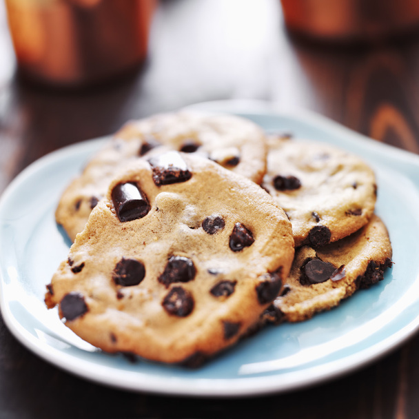 Plate of chocolate chip cookies - Fotografie, Obrázek