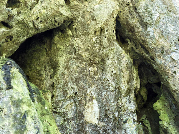 森林公園ヤンコヴァックの石灰岩岩 - パプク自然公園、クロアチア - 写真・画像