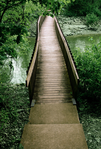 Brücke aus dem Wald - Foto, Bild