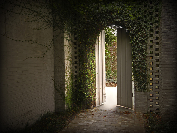 Puerta de entrada Ivy
 - Foto, imagen