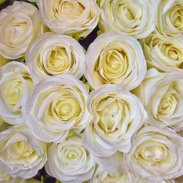 Rosas brancas, fundo floral falso
 - Foto, Imagem