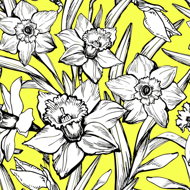 Large white flowers daffodils hand-drawn by black ink on yellow - Vektor, Bild