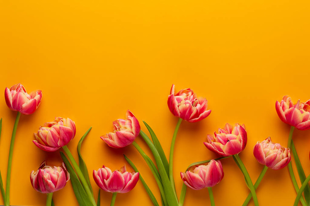 Spring tulips on yellow colors background. Retro vintage style. - Foto, Bild