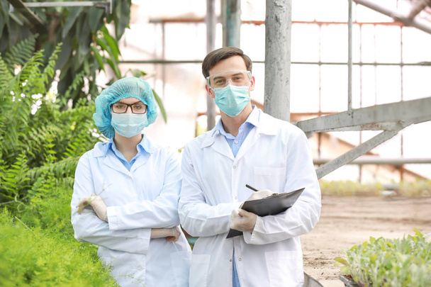 Portrait of agricultural engineers in greenhouse - Foto, Bild
