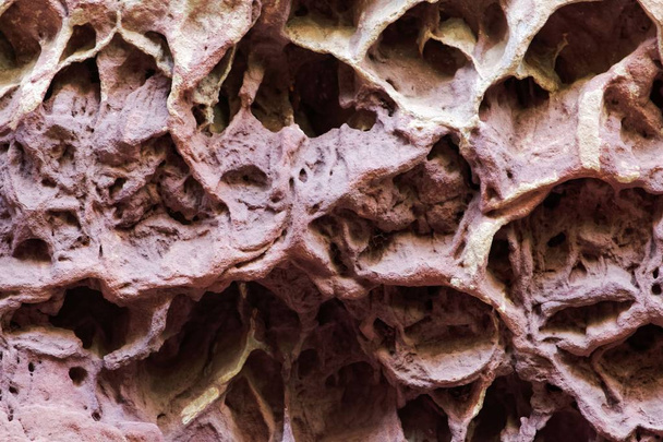 Вивітрювання медоносних ділянок у природній пісковику та стіні з глини
.  - Фото, зображення