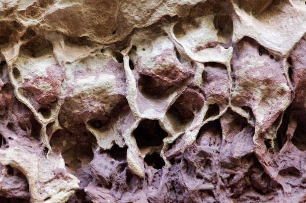 Honingraat verwering in een natuurlijke zandsteen en claystone muur.  - Foto, afbeelding