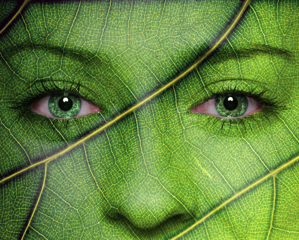 γυναίκα πρόσωπο με τα μάτια υφή και το πράσινο των φύλλων - Φωτογραφία, εικόνα