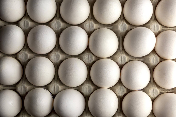 White chicken eggs in the package. Chicken eggs in carton box. Top view eggs background - Foto, immagini