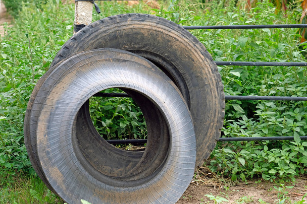 Neumáticos viejos coches usados están en la cerca de una casa de campo de verano. Contaminación ambiental. El uso de neumáticos viejos en el país
. - Foto, Imagen