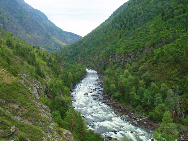 The river Chulcha - Foto, Imagem