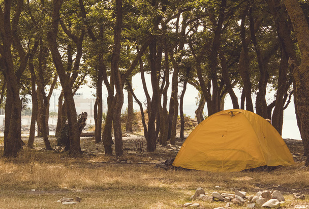 Yellow tent in the shade of trees on the coast. A secluded place to relax in the shade. Wild camping by the sea / ocean. - Foto, Bild