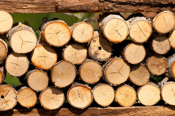 Кадр дров
 - Фото, зображення