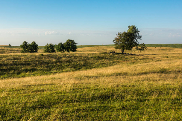 Τοπίο με λιβάδι με μασουριανό, Μαζουρία, Πολωνία - Φωτογραφία, εικόνα